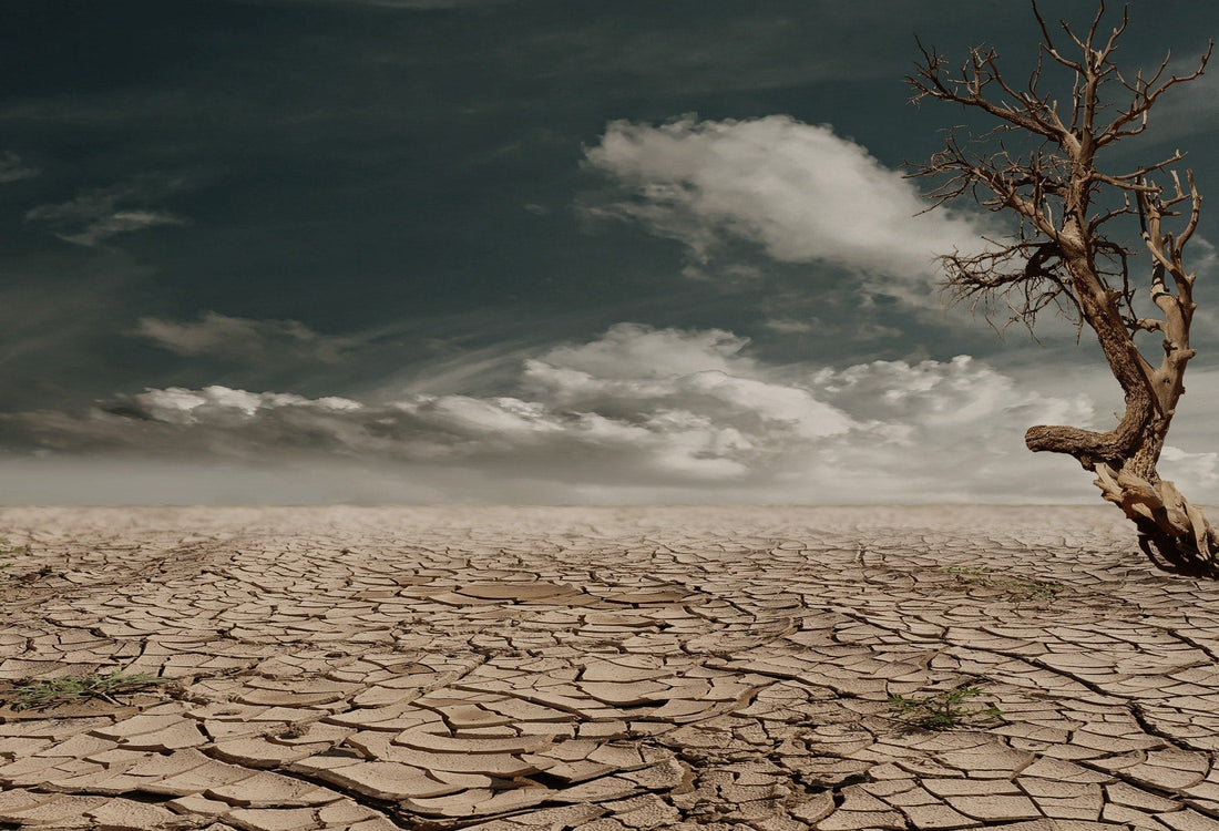 7 Common Symptoms of Dehydration: How to Recognize and Treat