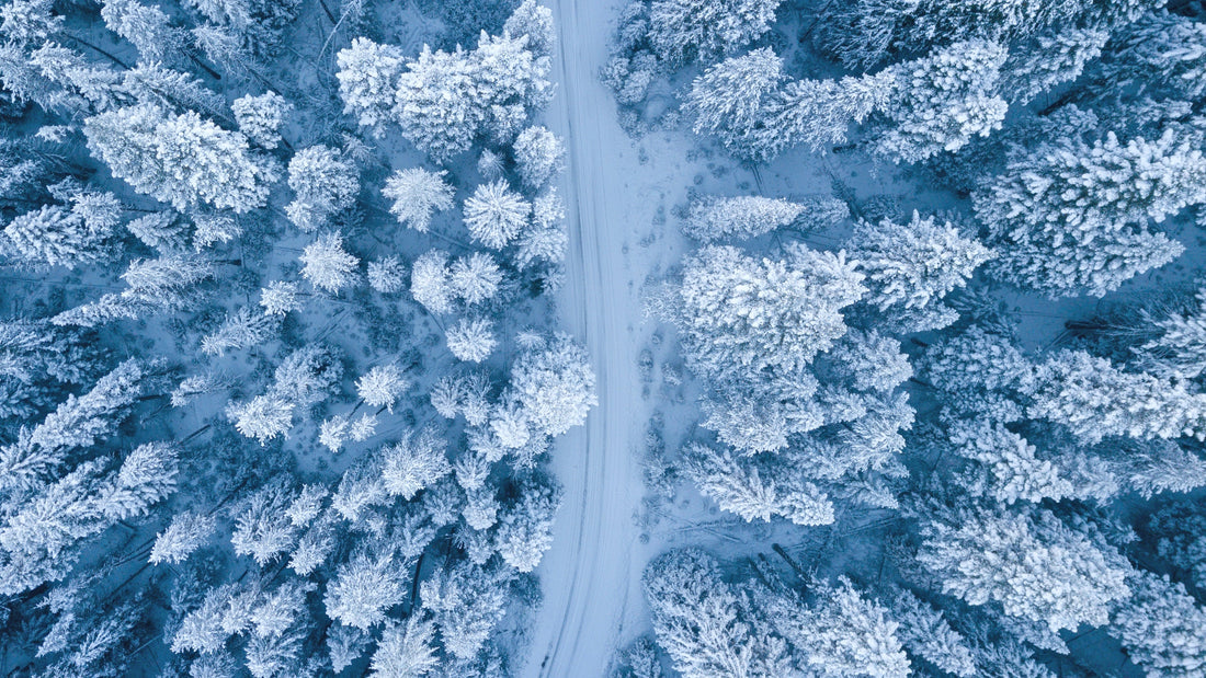 The Different Types of Dehydration: Winter vs. Summer